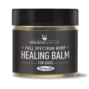 The East Bay's CBD Products